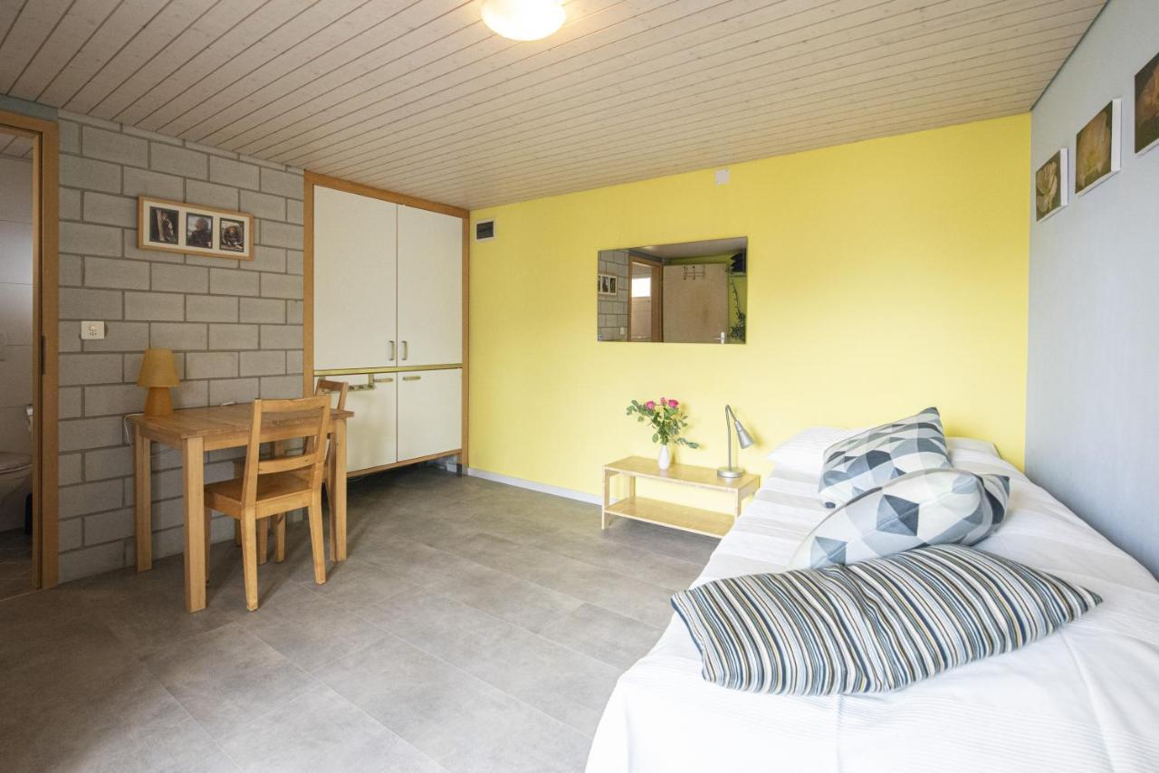 Casa Eva Apartman Ronco sopra Ascona Kültér fotó