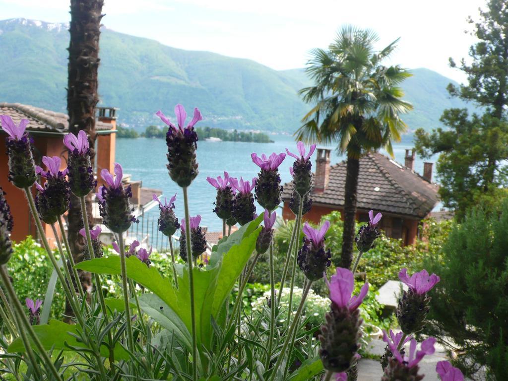 Casa Eva Apartman Ronco sopra Ascona Kültér fotó